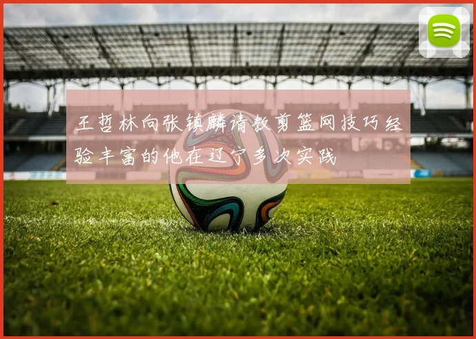 王哲林向张镇麟请教剪篮网技巧经验丰富的他在辽宁多次实践
